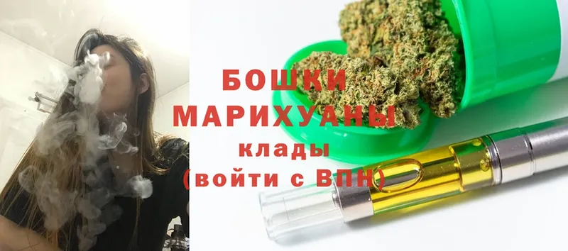 Бошки Шишки планчик  где купить наркоту  Выборг 